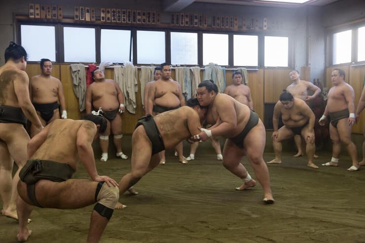 מזיעים ב"אורוות אימונים". לא רק התחרויות מעוררות עניין