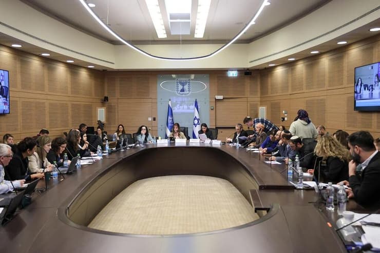 ועדת העבודה ורווחה (צילום: דני שם טוב, דוברות הכנסת ) ועדת העבודה ורווחה - תגמולים למשפחות שכולות