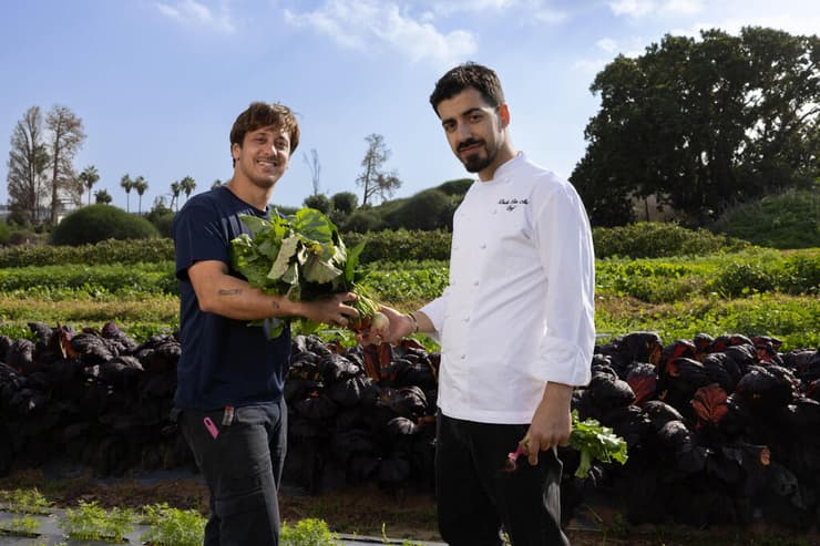 דודו בן אבו ובן כהן