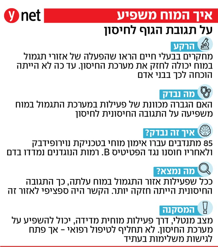 איך המוח משפיע על מערכת החיסון אינפו
