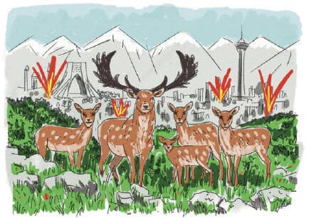 איור: דניאלה לונדון דקל