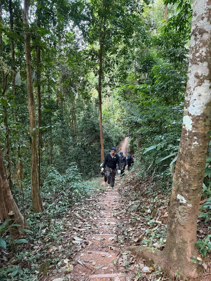 הליכה ביער בין זיפ לזיפ (צילום: אסף קמר) הליכה ביער בין זיפ לזיפ
