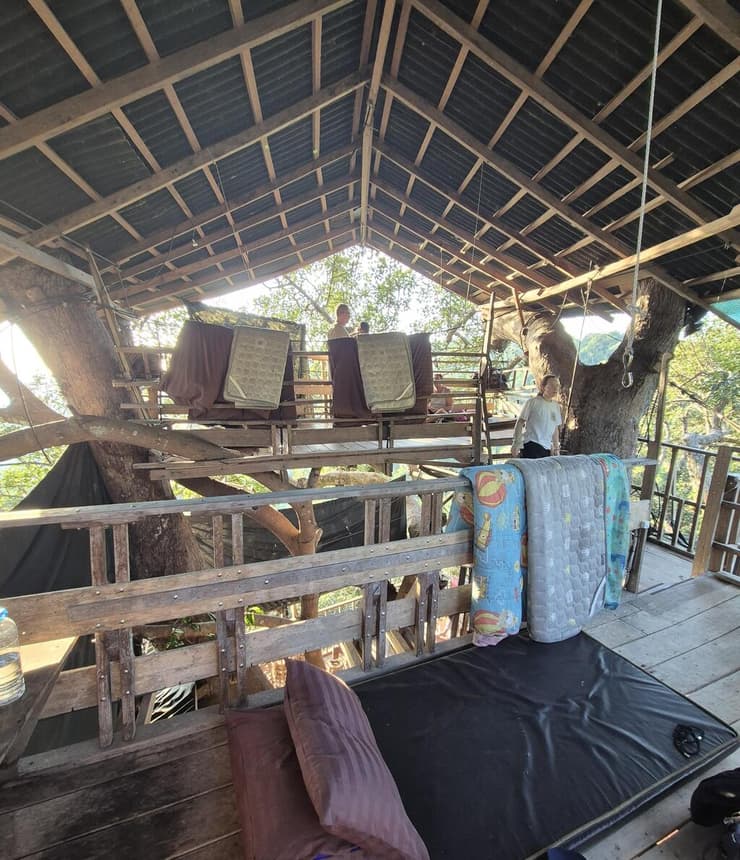 המזרונים בבית העץ (צילום: אסף קמר) המזרונים בבית העץ