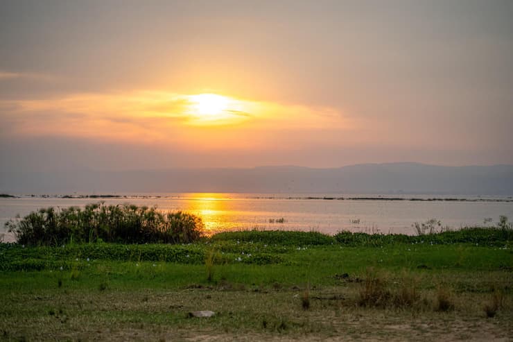 מסע החוסן של האמהות השכולות