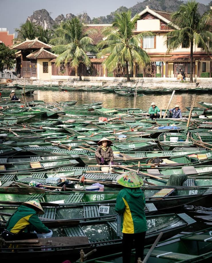 טאם קוק, וייטנאם