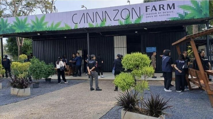 ישראלי נעצר בגין הפעלת חוות קנאביס לא חוקית בקראבי