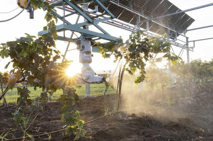 הכרם החכם בפעולה (צילום: נוי עינב) הכרם החכם בפעולה