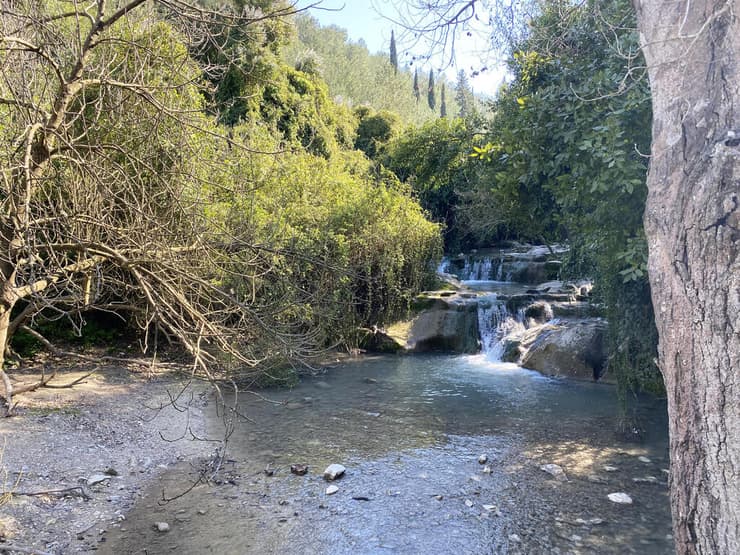 מפלונים בנחל השופט (צילום: גלעד כרמלי) מפלונים בנחל השופט