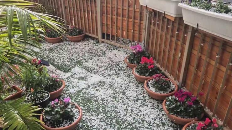 ברד בפרדסיה