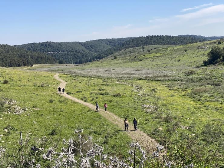 עמק השלום במבט ממצפור סיון (צילום: גלעד כרמלי) עמק השלום במבט ממצפור סיון