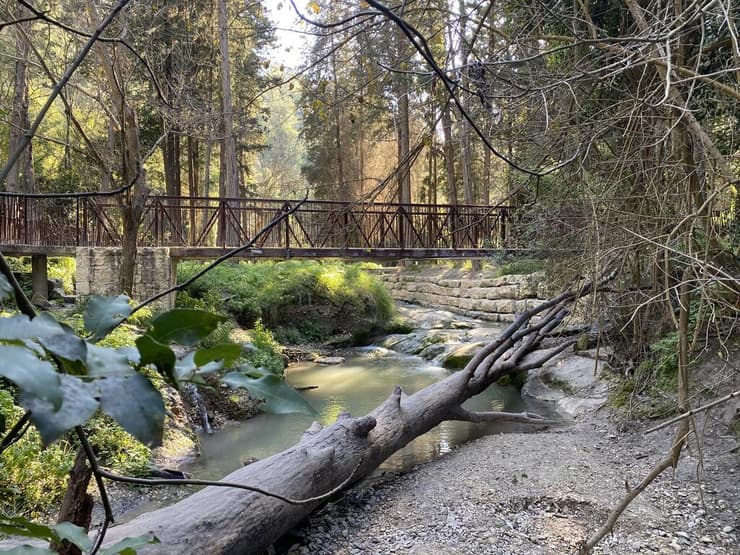 אחד הגשרים מעל נחל השופט (צילום: גלעד כרמלי) אחד הגשרים מעל נחל השופט
