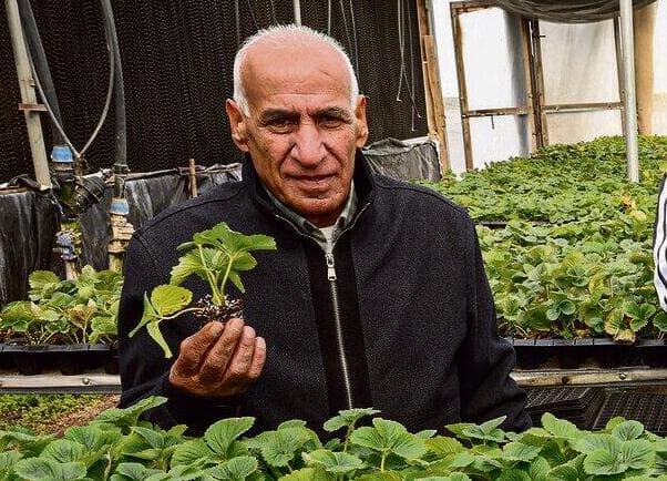 "איכות ובטיחות".  עבד אלרחמן