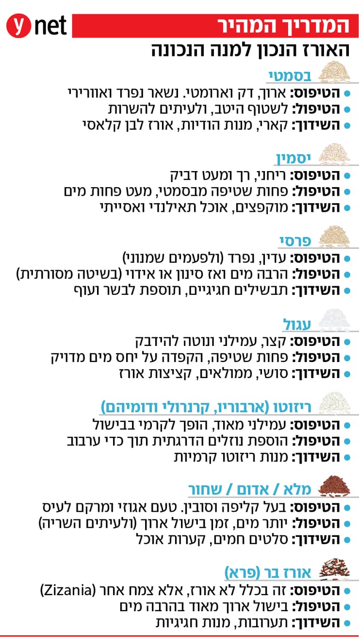 אורז
