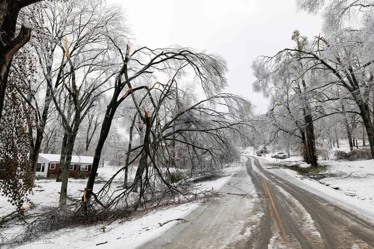 נאשוויל טנסי