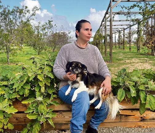 צימרים מזמינים. "הבוסתן של איתן" (אלכס גנון) צימרים מזמינים. הבוסתן של איתן, דקל