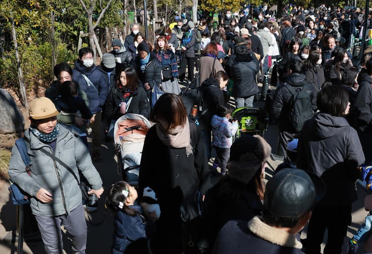 המבקרים הרבים שהגיעו להיפרד מהפנדות שיאו שיאו וליי ליי (צילום: Shuhei Yokoyama/The Yomiuri Shimbun/Reuters) המבקרים הרבים שהגיעו להיפרד מהפנדות שיאו שיאו וליי ליי