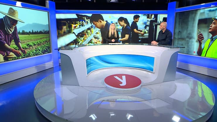 "על המדינה להקים גוף אחד שיטפל בתהליך העסקת העובדים הזרים" (צילום: אולפן ynet) נימה