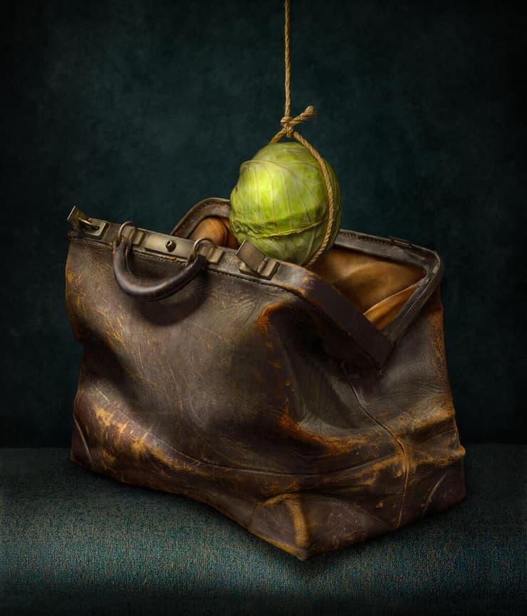 היצירה Feeding The Mongoose (איור: דניאל רימר) היצירה Feeding The Mongoose