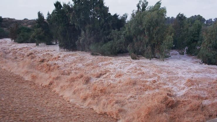 מאגר שקמה (צילום: אלי דגני) מאגר שקמה