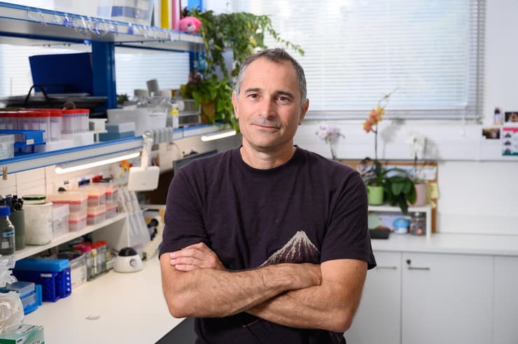 פרופ' עידו עמית (צילום: מכון ויצמן למדע) פרופ' עידו עמית