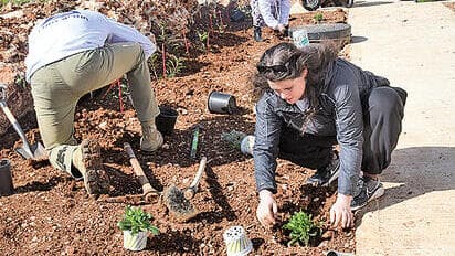מתנדבים משקמים את הקיבוץ