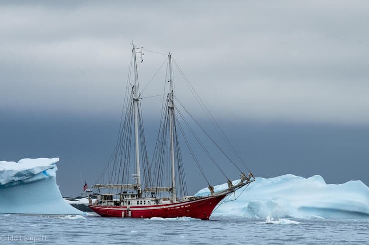 האלדוראדו עושה את דרכה בין קרחונים כמו קודמותיה לפני מאה שנה (צילום: עדו למפרט) האלדוראדו עושה דרכה בין קרחונים כמו קודמותיה לפני מאה שנה