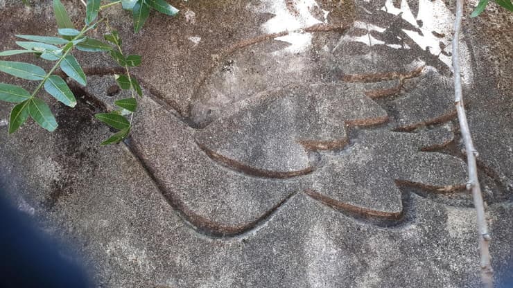 פרט אומנותי על הקיר בקיבוץ יפתח