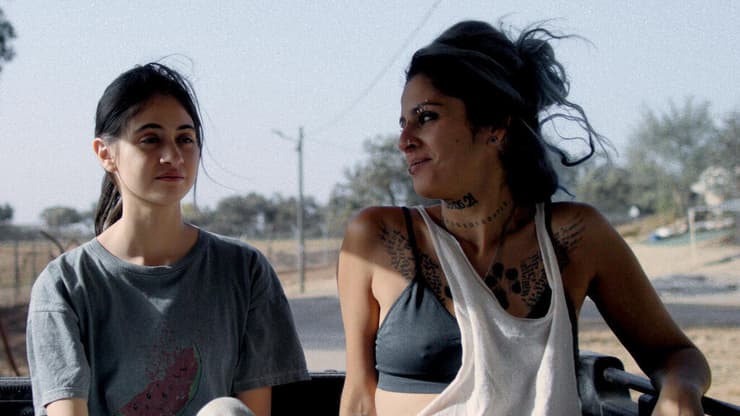 מתוך "על כלבים ואנשים"