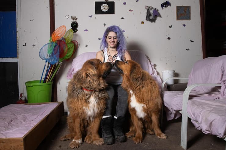 נורה ליפשיץ