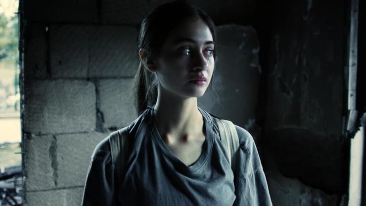 המיידיות מנטרלת את הפרספקטיבה. מתוך "על כלבים ואנשים" (צילום: באדיבות סרטי נחשון) מתוך "על כלבים ואנשים"