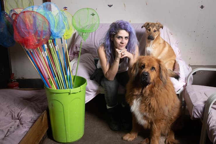 נורה ליפשיץ