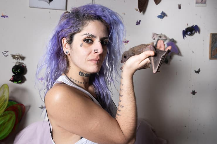 נורה ליפשיץ