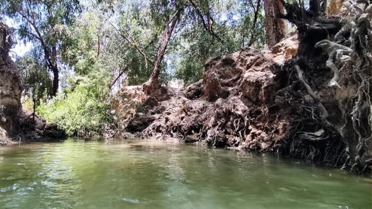 מפל ובריכת חורף בנחל עמל