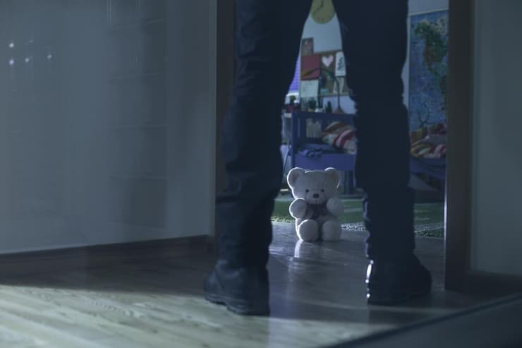 בכתבות נטען שאת הזוועות ביצעו אבות מן השורה, שלא היה להם רקע של פגיעה מינית