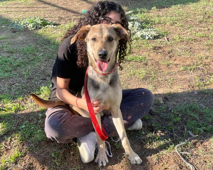 צוק (צילום: ניקול חבושה) צוק