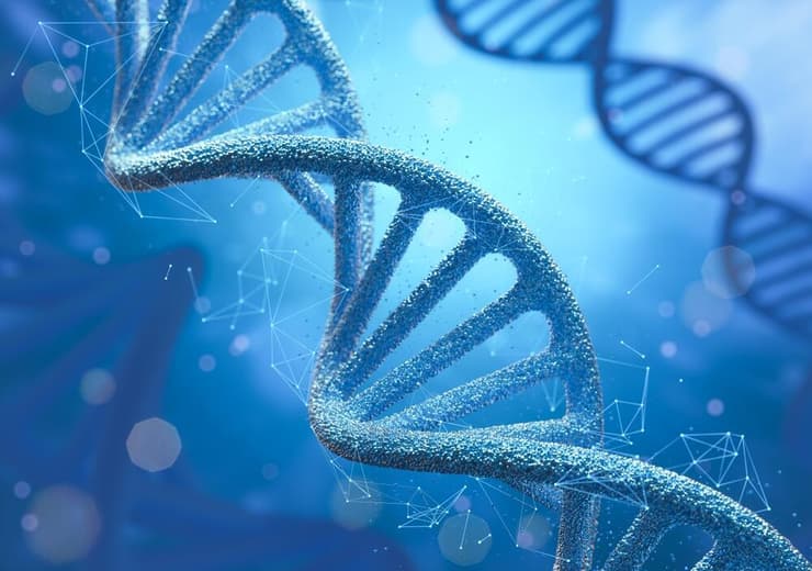 גנטיקה דנ"א