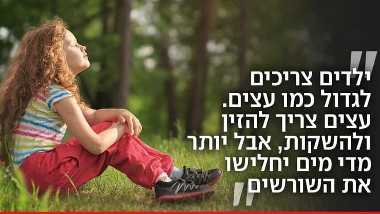 חוקי חיים, מתוף ספרו של ג'פרי כץ