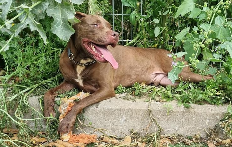 ג'רי (צילום: עמותת להתחיל מחדש) ג'רי