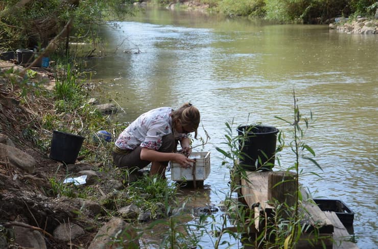 ניפוי הקרקע באתר גדות הירדן (תמונה באדיבות פרופ' גונן שרון) ניפוי הקרקע באתר גדות הירדן