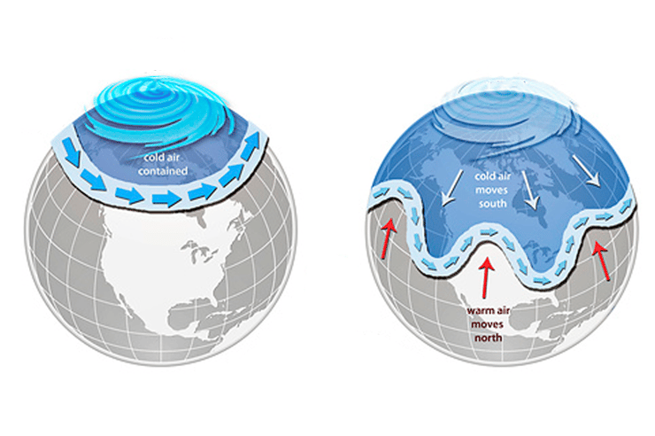 כאשר המערבולת חזקה במיוחד, היא נוטה להישאר קרוב לקוטב ולהקטין את הגלים של זרם הסילון (באיור משמאל). כאשר המערבולת נחלשת או משנה צורה, היא עשויה להגדיל את הפיתולים של זרם הסילון, ולגרום למזג אוויר קיצוני (מימין) 