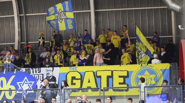 אוהדי מכבי תל אביב (עמרי שטיין) אוהדי מכבי תל אביב