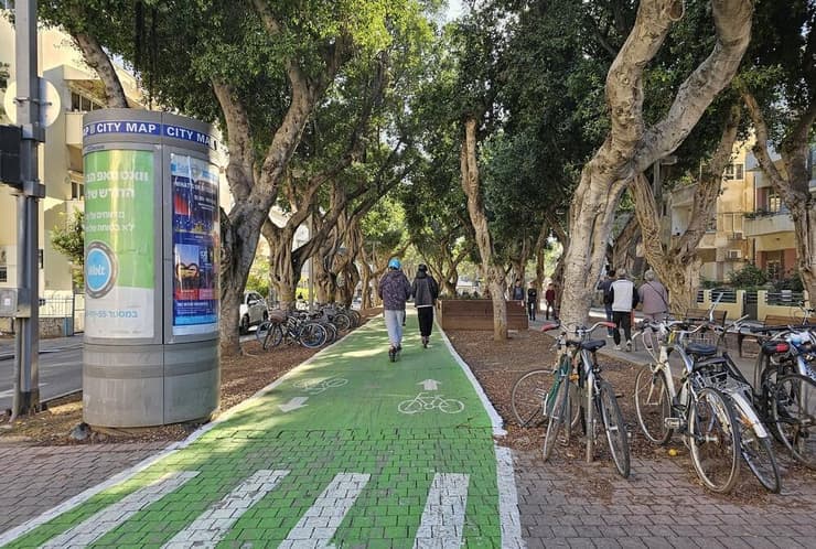 עצים בשדרות רוטשילד בתל אביב (צילום: Protasov AN/Shutterstock) עצים בשדרות רוטשילד בתל אביב