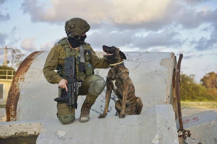 רס״ל במיל׳ טומי צנטנר