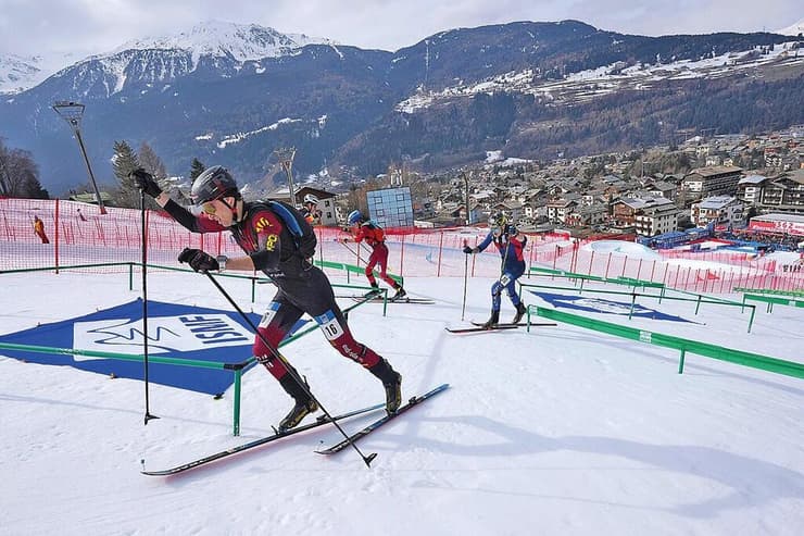 ענף הסקימו (צילום: AP/Antonio Calanni ) ענף הסקימו