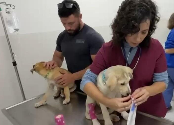 בדיקות אחרונות לפני הטיסה