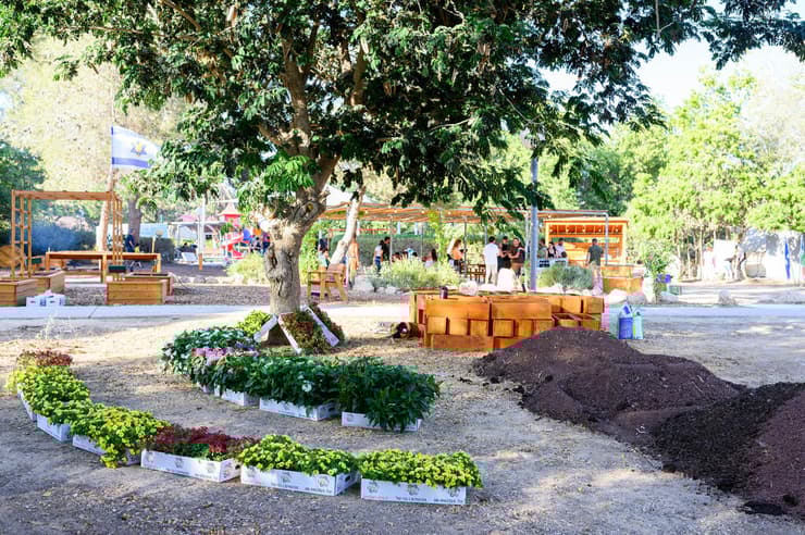 "מאמינים ביכולת של הטבע להביא לריפוי הנפש". נטיעת עצים בעין השלושה בט"ו בשבט, במסגרת קמפיין "שורשים של תקווה"    