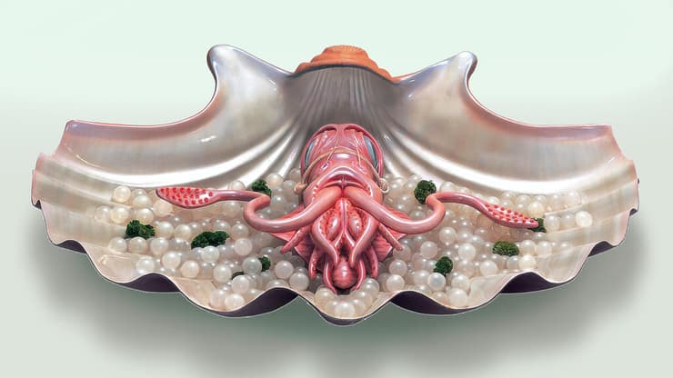 יצירתו של אלי גור אריה