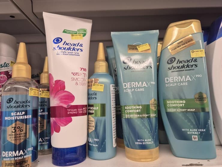 הד אנד שולדרס בשלל גדלים כולל גדלי היוקרה  