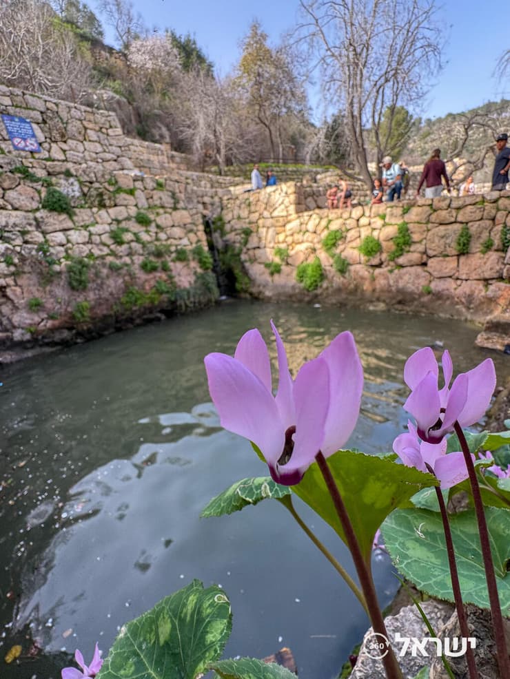 יפה בימים אלה גם בסטף