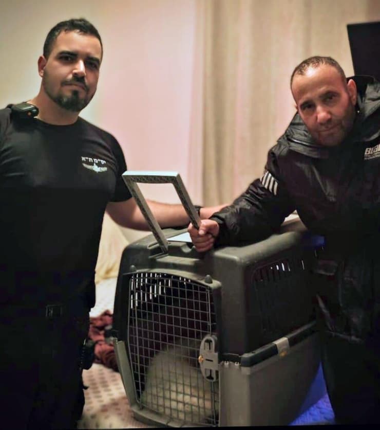 שניים מלוחמי היס"מ עם הוולבי שהוכנס לכלוב